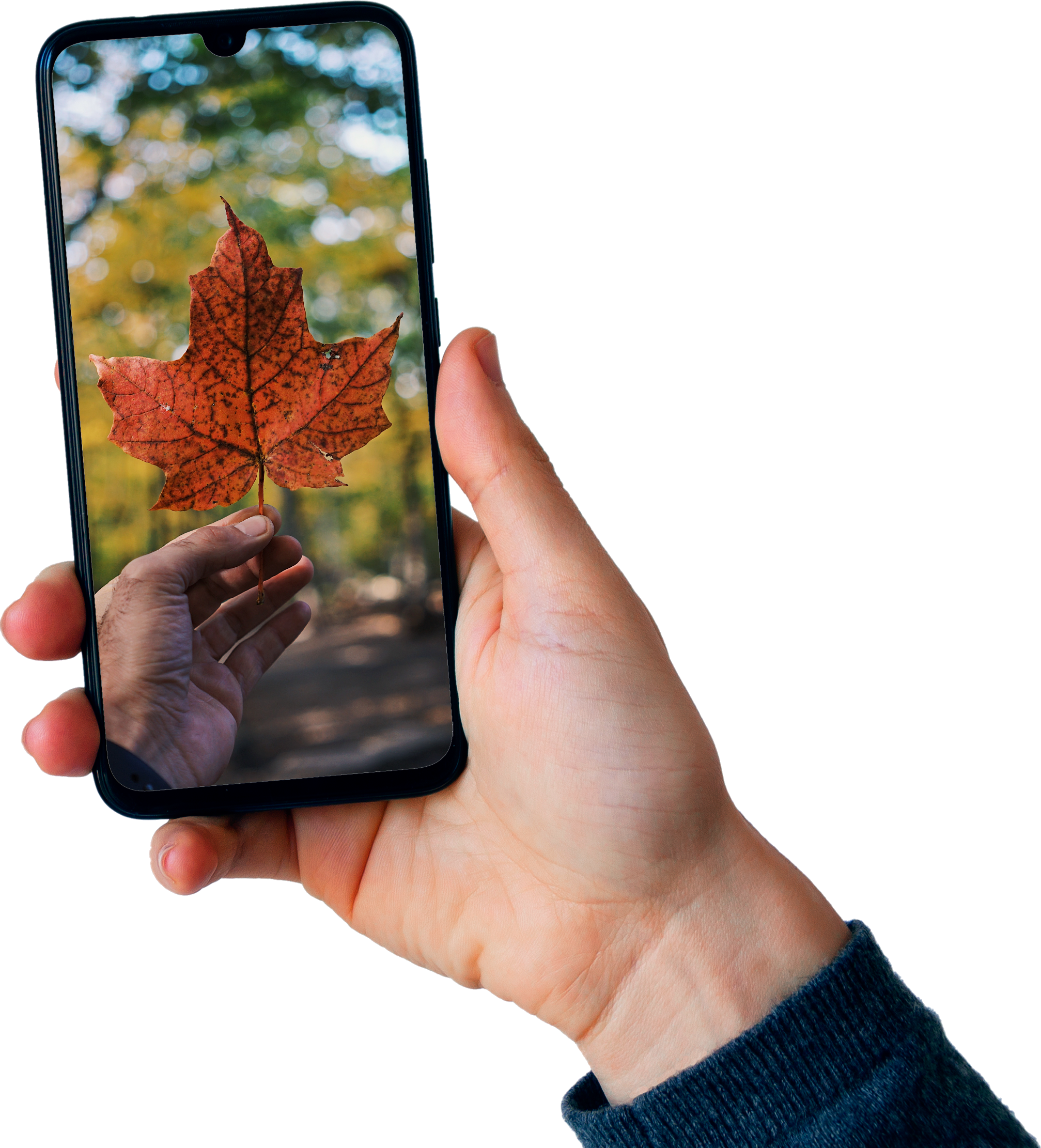 movil canada